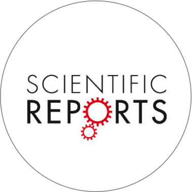 Corticotropin Releasing Factor Neurons In The Bed Nucleus Of The Stria